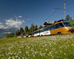 GoldenPass Line