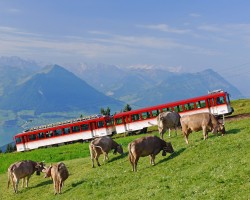 Rigi Bahnen